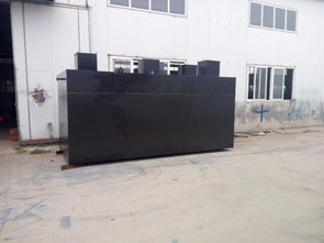 高效潔凈，守護(hù)環(huán)境 地埋式豆類加工污水處理與洗滌設(shè)備解決方案